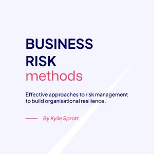 Business Risk Methods