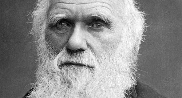 Charles Darwin was right – it really is survival of the fittest