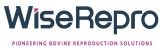 WR-social-launch-Wordpress-news
